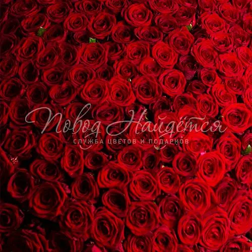 301 роза Букет Ваше Высочество