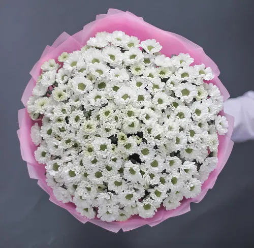 ХРИЗАНТЕМЫ Букет Прекрасное забвение