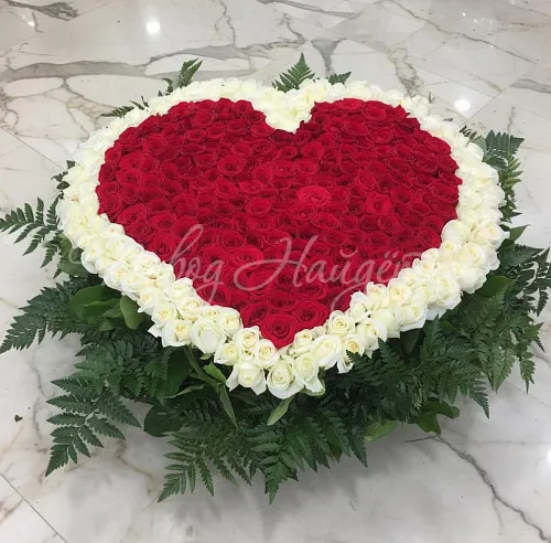 501 роза Букет Безумно влюблен