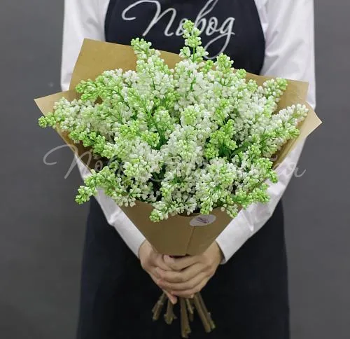 Цветы Букет Навстречу весне