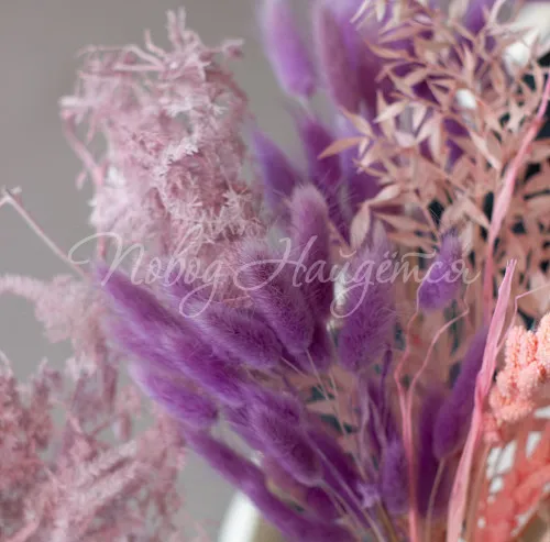 СухоЦветы Букет Шарона