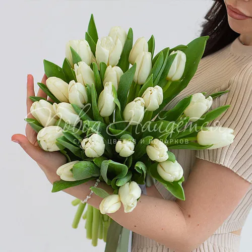 ТЮЛЬПАНЫ Букет Беллисимо