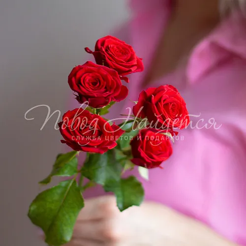 Розы Букет Кустовая красная роза 50 см