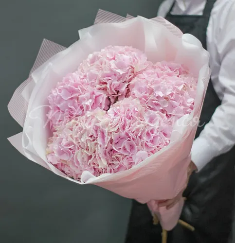 ГОРТЕНЗИИ Букет Веста