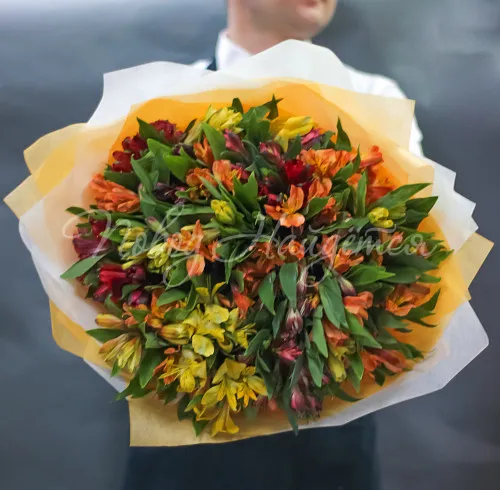 Монобукеты из альстромерии Букет Денс