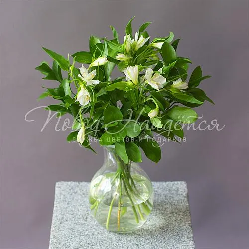 Букеты Букет Свежесть утра