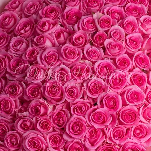 101 роза Букет Ревиваль