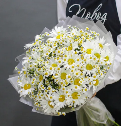 РОМАШКИ Букет Погода в доме