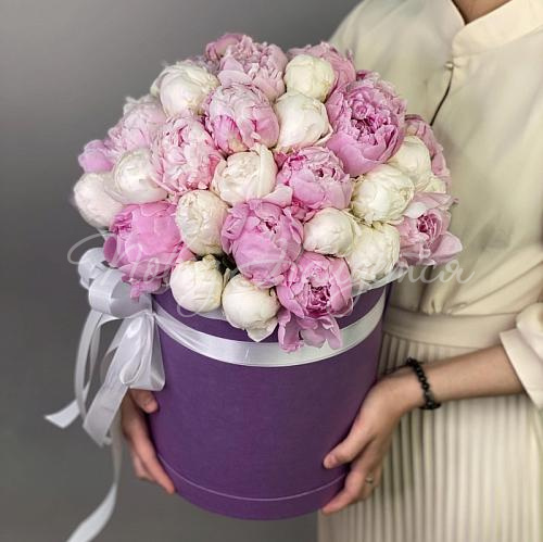 ПИОНЫ Букет Голден леди