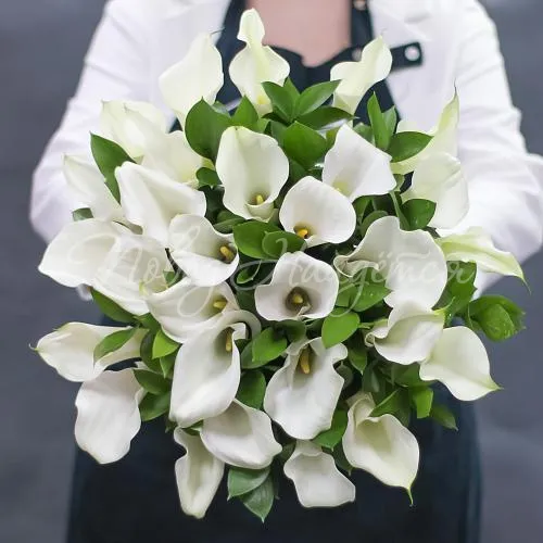 КАЛЛЫ Букет 29 белых калл