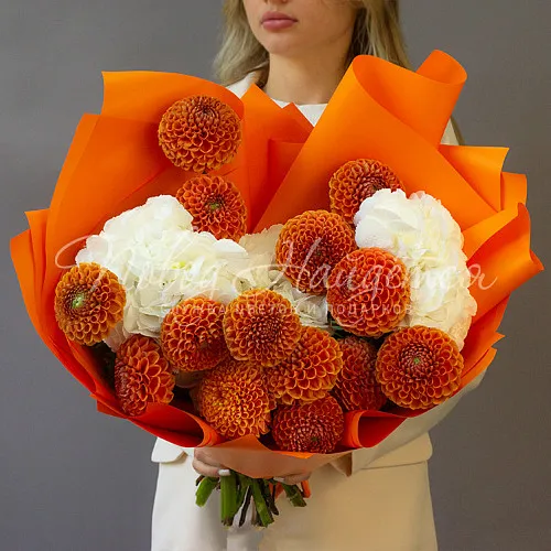 ГОРТЕНЗИИ Букет Персиковое Парфе