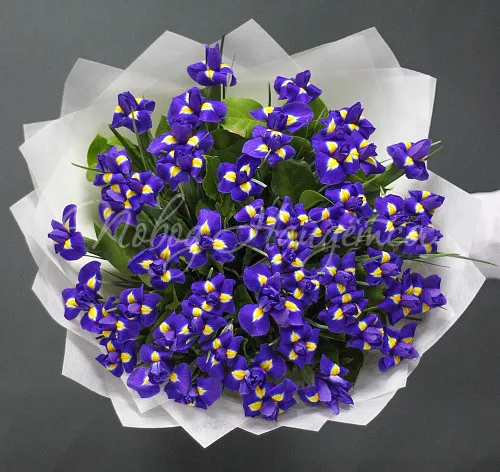 Букет коллеге Букет 51 ирис