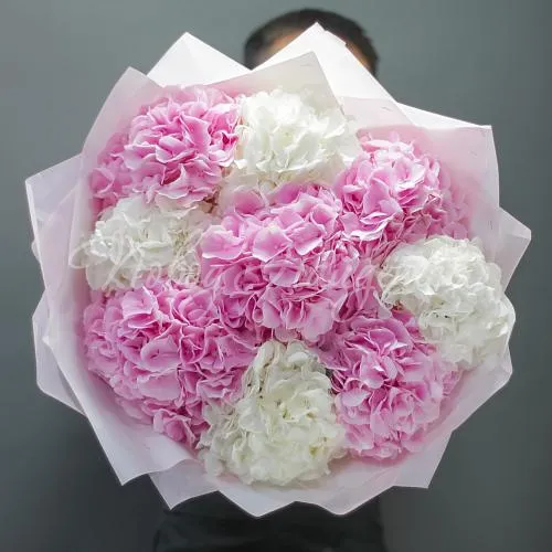ГОРТЕНЗИИ Букет Розовая мелодия