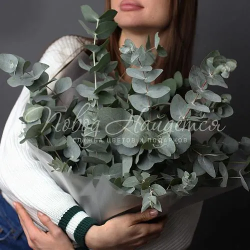 Новый год Букет Эвкалипта