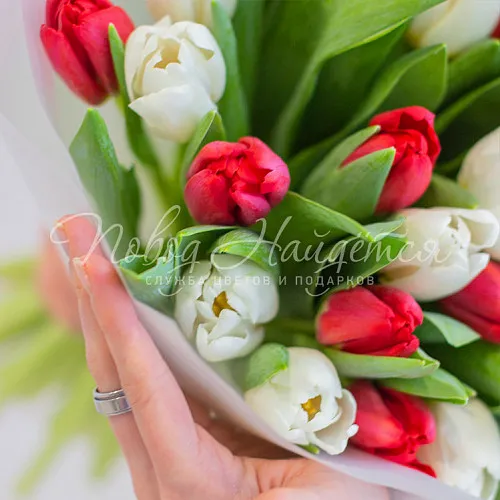 ТЮЛЬПАНЫ Букет Ты-Идеал!