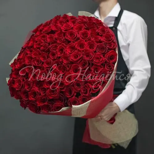 101 роза Букет Фридом