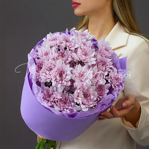 Моно Хризантемы Букет Жемчужное небо