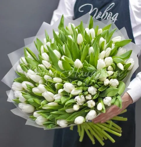 ТЮЛЬПАНЫ Букет 101 белый тюльпан