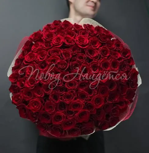 101 роза Букет Фридом