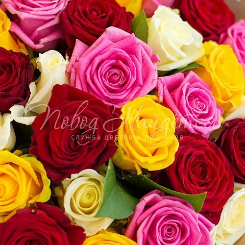 25 роз Букет Танцы до утра