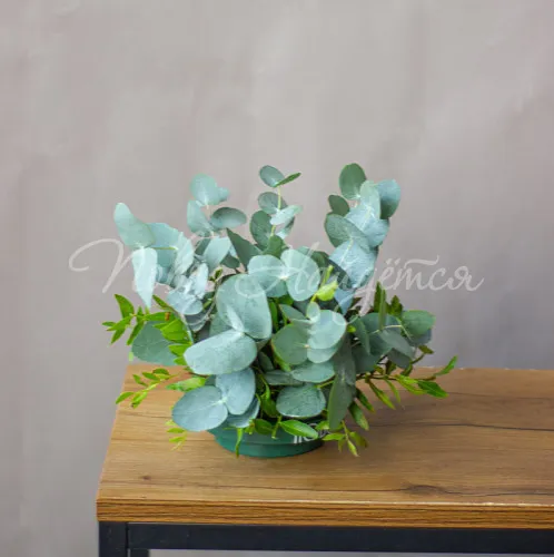 Мини-композиции Цветочная композиция Композиция №86