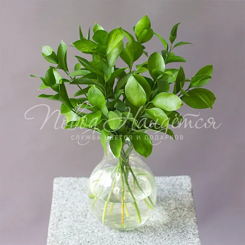 Мини-композиции Цветочная композиция Зеленый остров