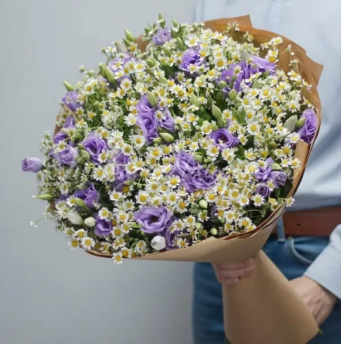 РОМАШКИ Букет Милан