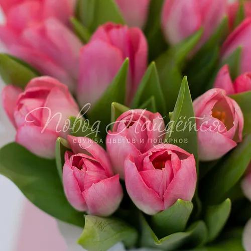 ТЮЛЬПАНЫ Букет Клубничная карамель