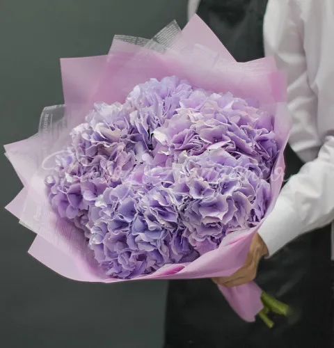 ГОРТЕНЗИИ Букет Ванесса