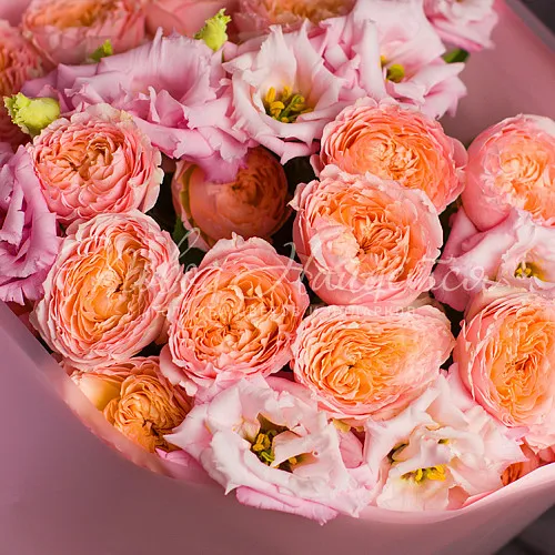 Пионовидные розы Букет Клубничный Донат