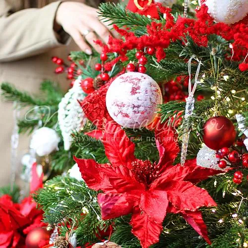 Новый год Ель Нормана "Под ключ"