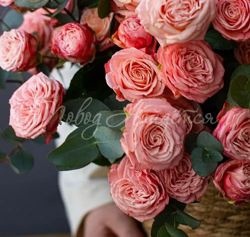 3500 - 5500 руб. Букет Флорида