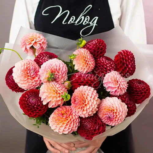 ГЕОРГИНЫ Букет Дух романтики