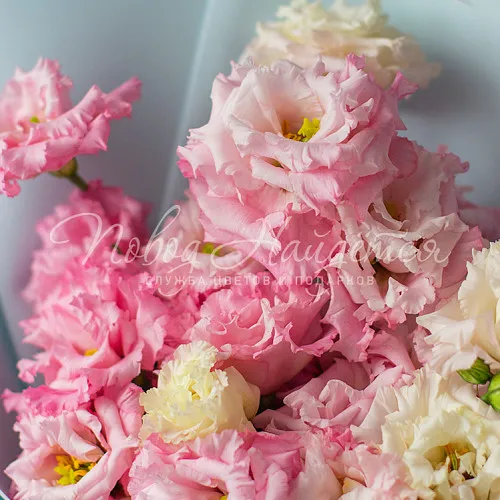 Цветы Букет Шармель