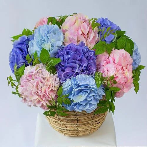 Дизайнерские корзины Корзина Звездная россыпь