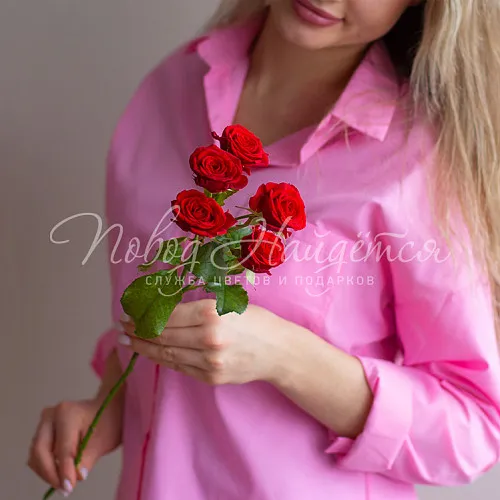 Розы Букет Кустовая красная роза 50 см