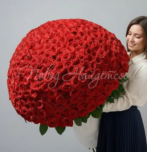 501 роза Букет Дели