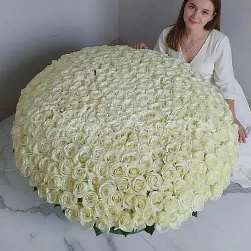 501 роза Букет Серебро