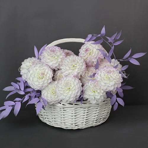 ГЕОРГИНЫ Букет Шарики пломбира