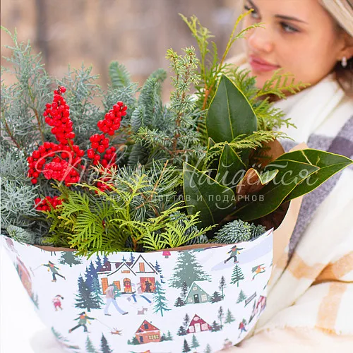 Новый год Красная поляна