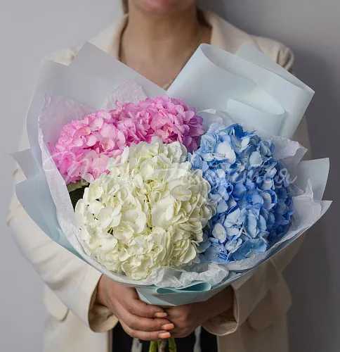 ГОРТЕНЗИИ Букет Космополитен