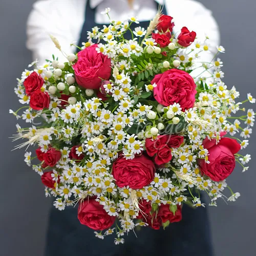 РОМАШКИ Букет Итальяночка