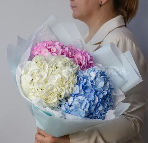 ГОРТЕНЗИИ Букет Космополитен