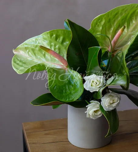 Мини-композиции Цветочная композиция Композиция №117