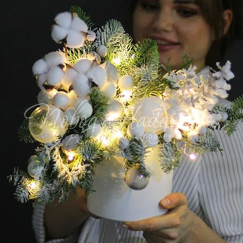 Новый год Мороз и Солнце