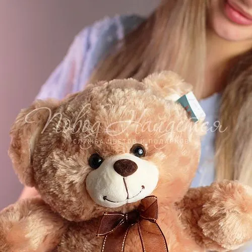 Мягкие игрушки Верный друг, 35 см