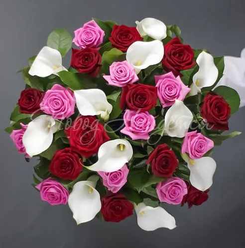 РОЗЫ Букет Люцерн