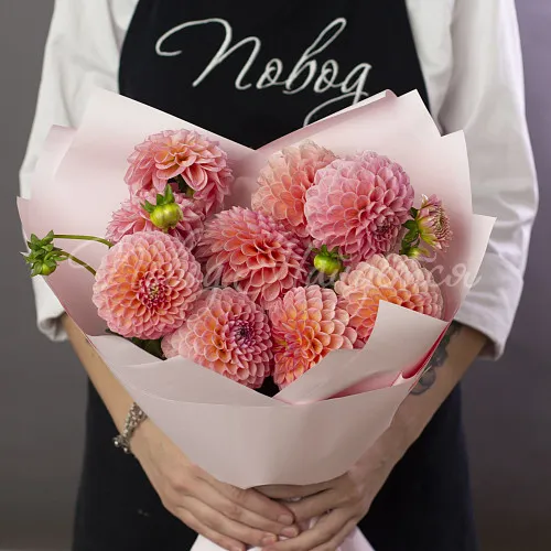 ГЕОРГИНЫ Букет Джелато