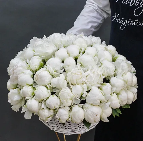 ПИОНЫ Букет Марсель