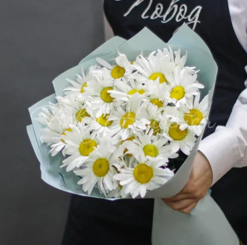 РОМАШКИ Букет Солнечные ромашки